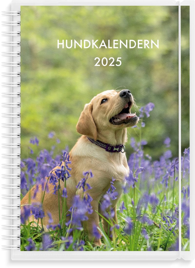 Kalender 2025 Hundkalendern