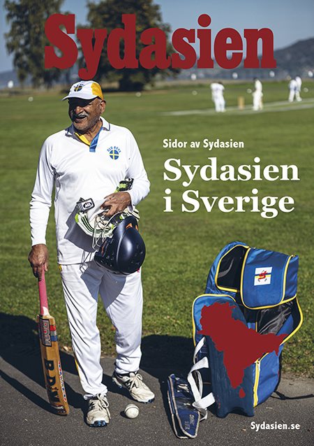 Sydasien i Sverige