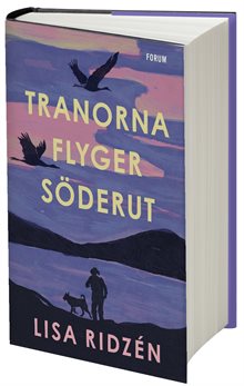 Tranorna flyger söderut